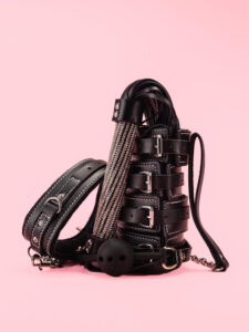 Set BDSM 5 Piese din Piele