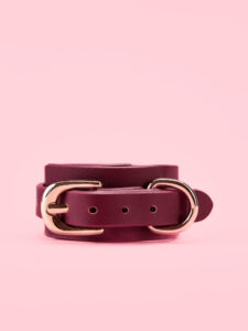 Catuse BDSM Premium Incheieturi