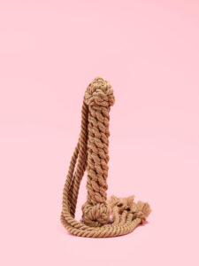 Flogger din Franghie