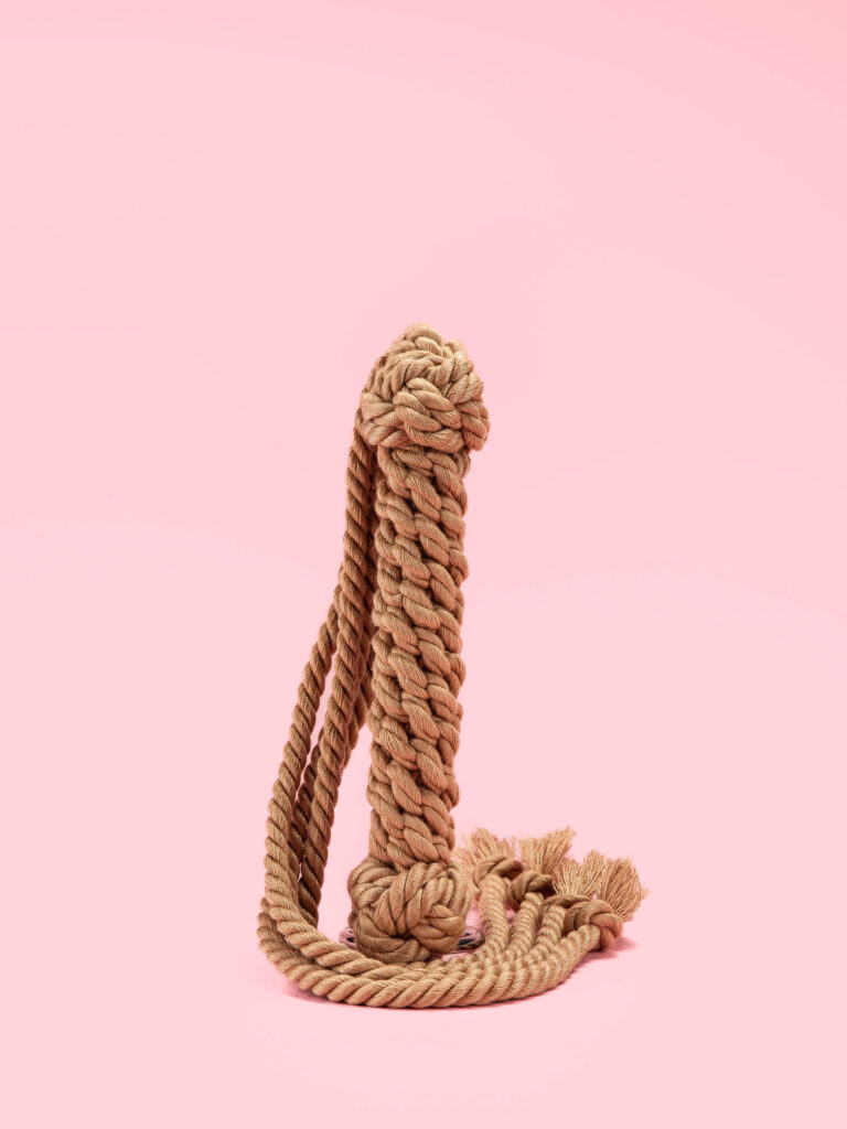 Flogger din Franghie