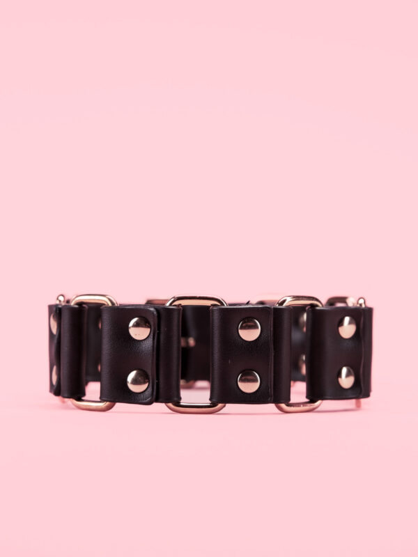 Golden Bondage Collar cu Lesa