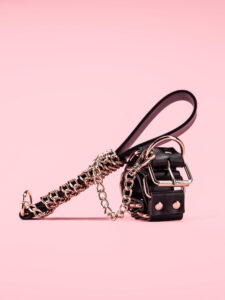Golden Bondage Collar cu Lesa