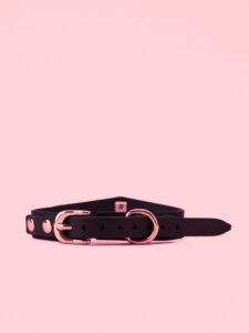 Set BDSM Premium din Silicon