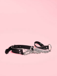 Choker Leash 2in1