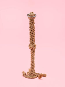 Flogger din Franghie