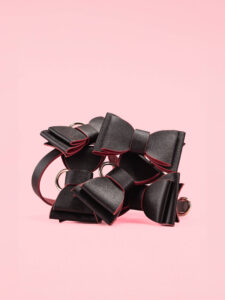 Set BDSM Elegant in Forma Papion