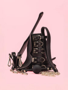 BDSM Kit - Paddle, Gag, Catuse & Geanta Piele